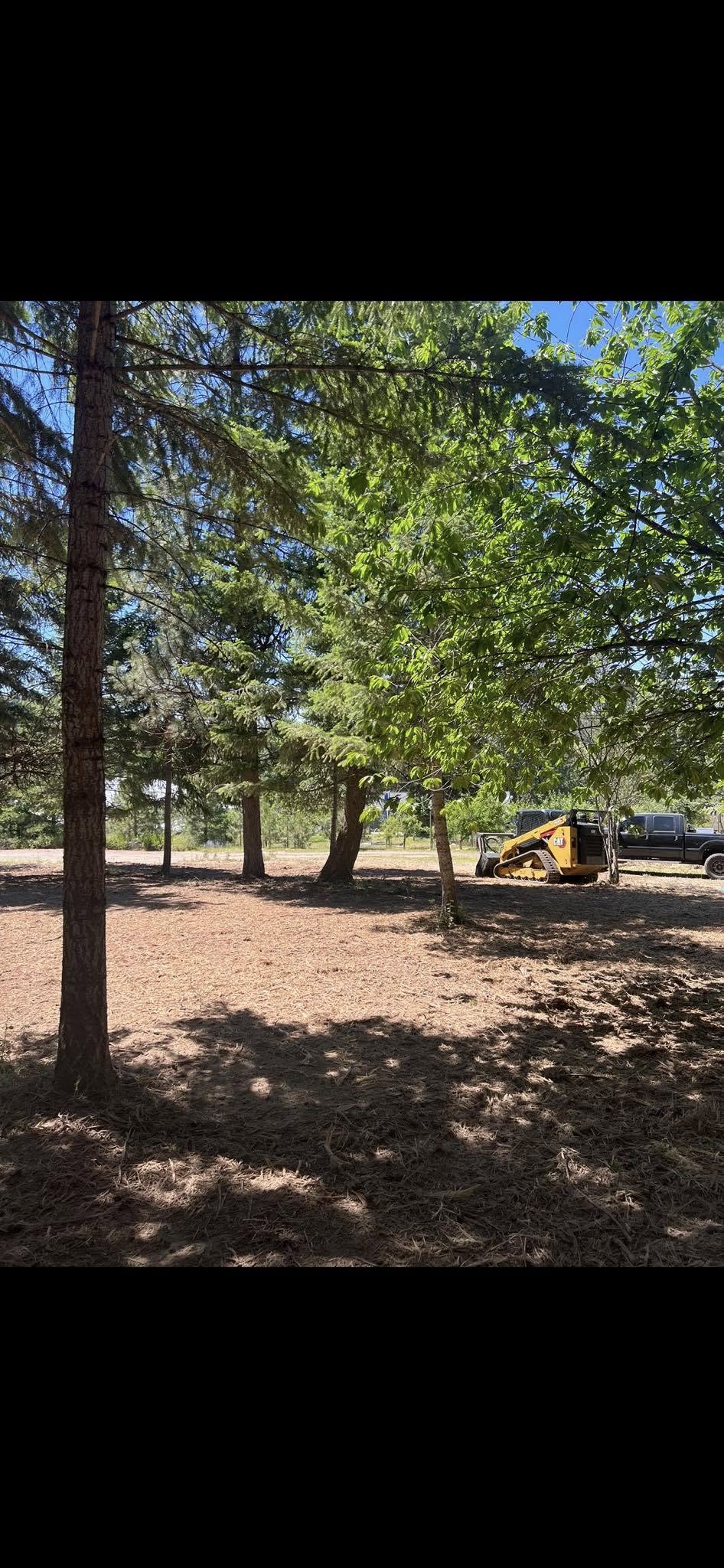 Cleared wooded lot with mulch ground cover and machine in background
